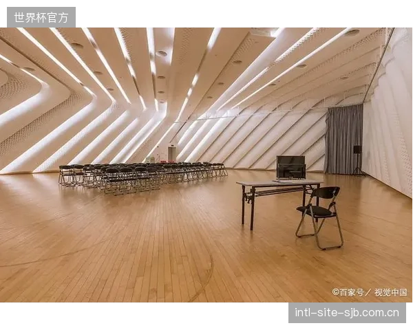 轻质共聚物吸音板能否真正解决125Hz以下的低频混响难题？RT60算法优化是否已触及其物理极限？